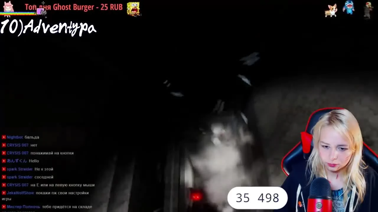 "Реакции Летсплейщиков" на Кота-Аниматроника за Дверью из CASE 2: Animatronics Survival