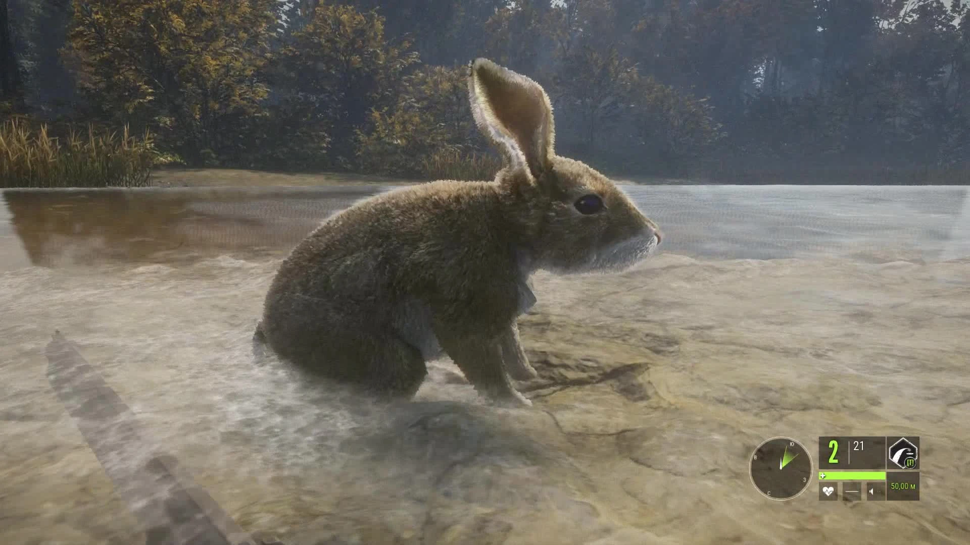 Hunter: Call of the Wild - Парализованный кролик