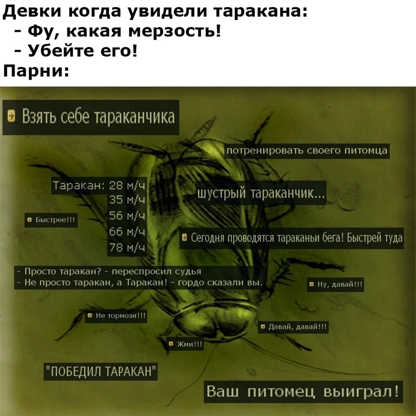 Тараканчик