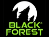 Spellbound Entertainment восстала из пепла в качестве Black Forest Games