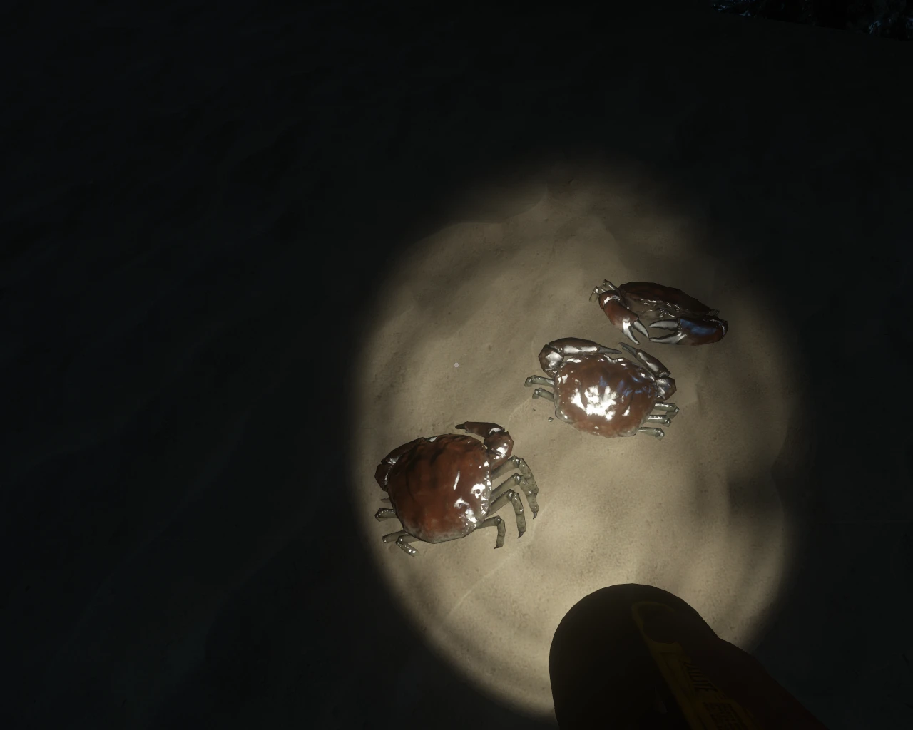 Stranded Deep - Мир (Биомы) - Животные