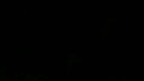 "Охотники за привидениями" возвращаются в следующем году