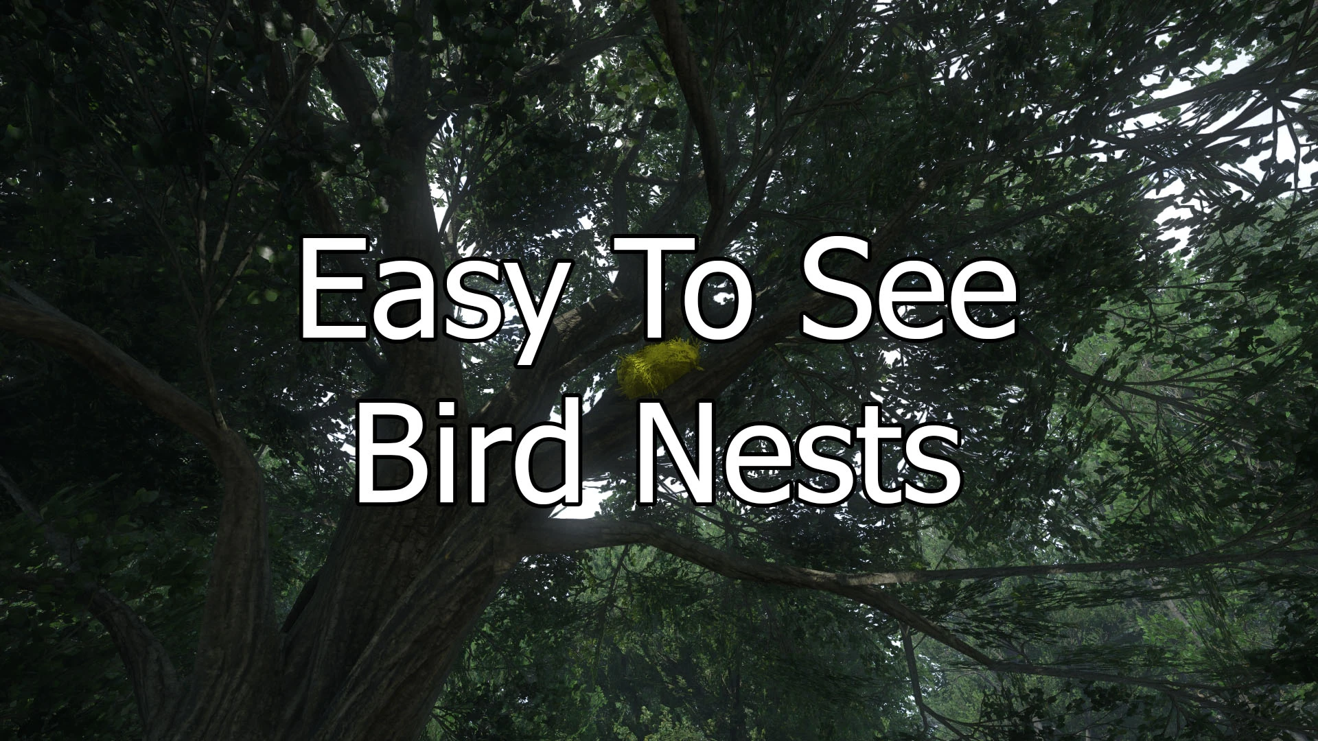 Kingdom Come: Deliverance 2 "Более заметные птичьи гнёзда"