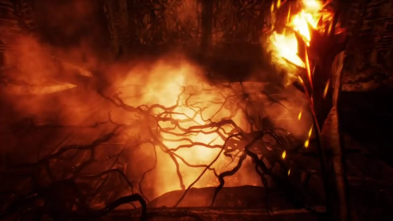 Agony - Перед тем как купить