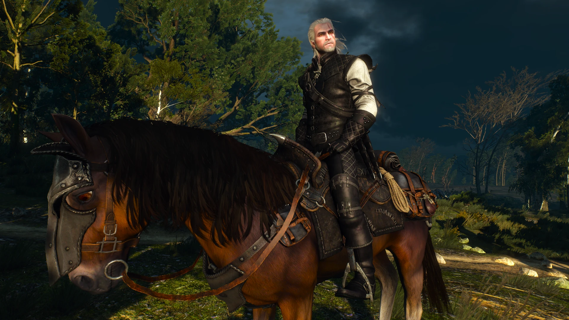 Witcher 3: Wild Hunt "Новый сет доспехов из Мантикоры-Sezon Burz Witcher's Gear - New DLC"