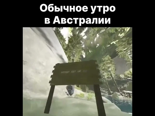 Обычное утро в Австралии