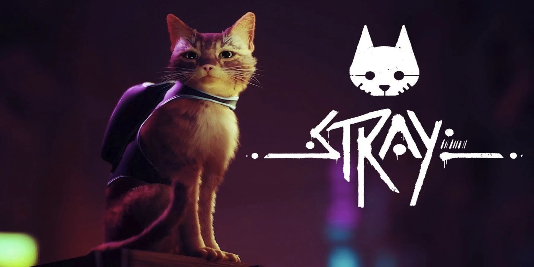 В сеть просочилась дата релиза кошачьего приключения Stray
