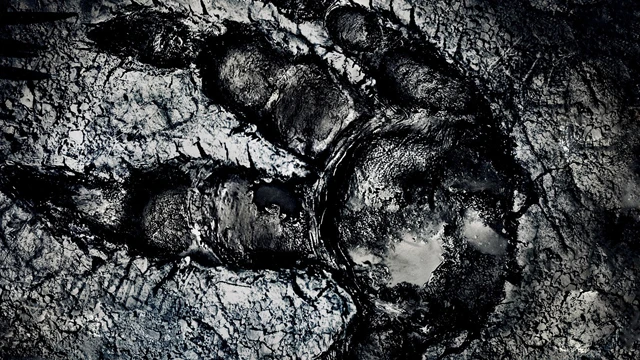 Среднестатистический матч в Evolve длится менее 10 минут