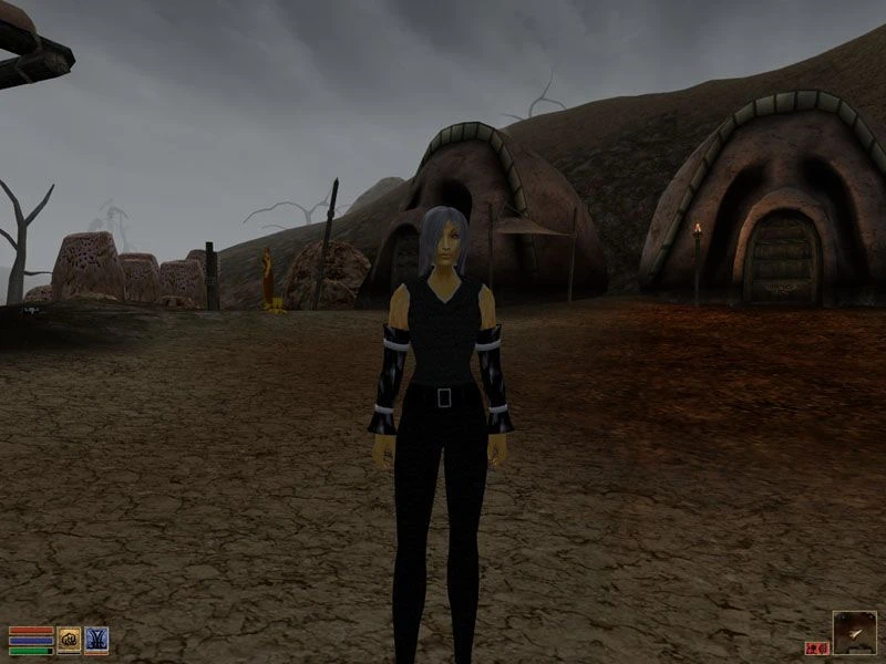 Morrowind "Торговка женской одеждой"