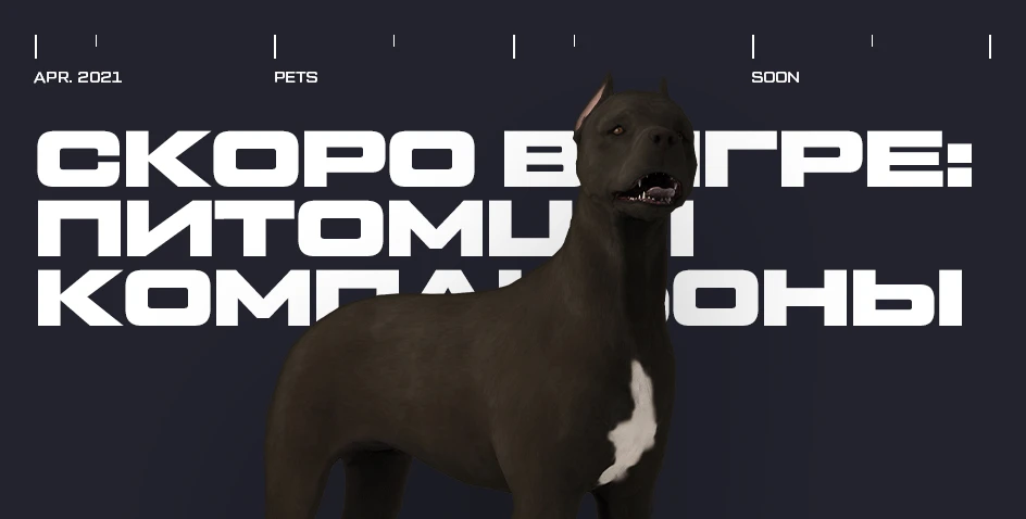 Скоро в Warface появятся питомцы