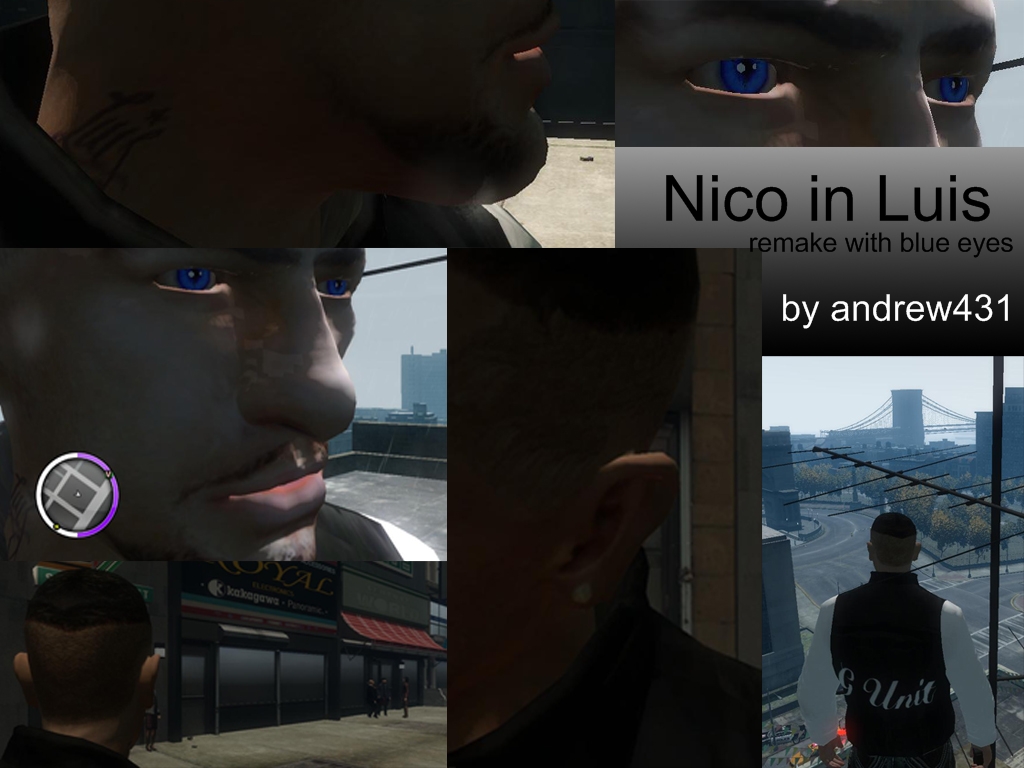 GTA 4 "Face Luis for Nico"