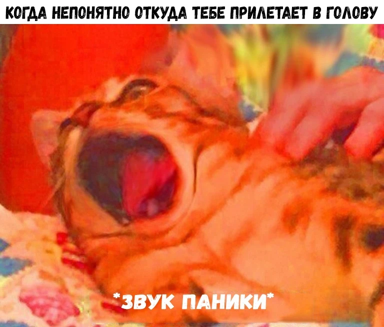 Откуда