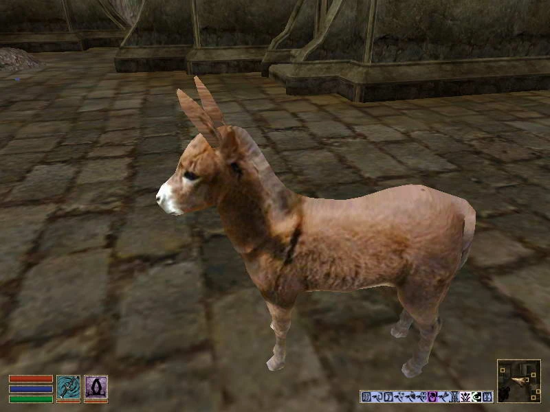 Morrowind "Мирные животные"