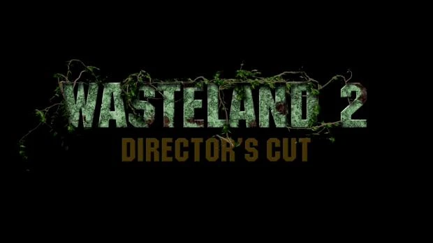 Wasteland 2: Director's Cut - Сюжет и масштаб