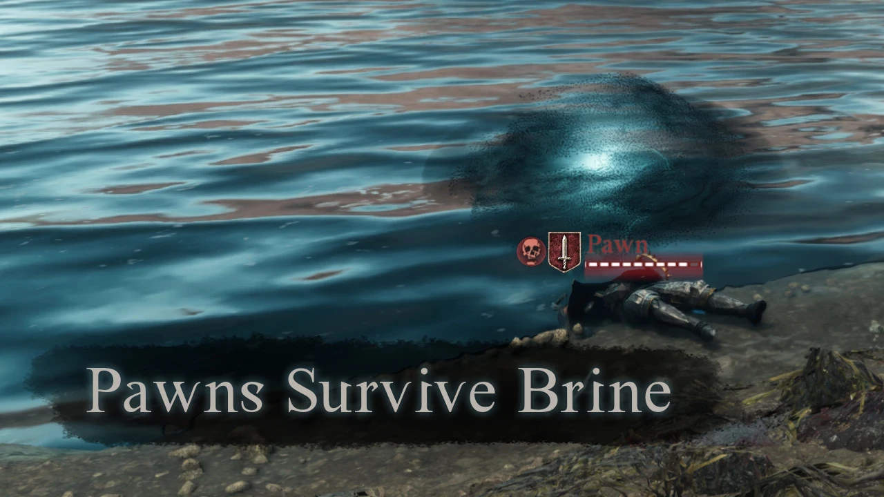 Dragon's Dogma 2 "Пешки больше не умирают/исчезают от воды"