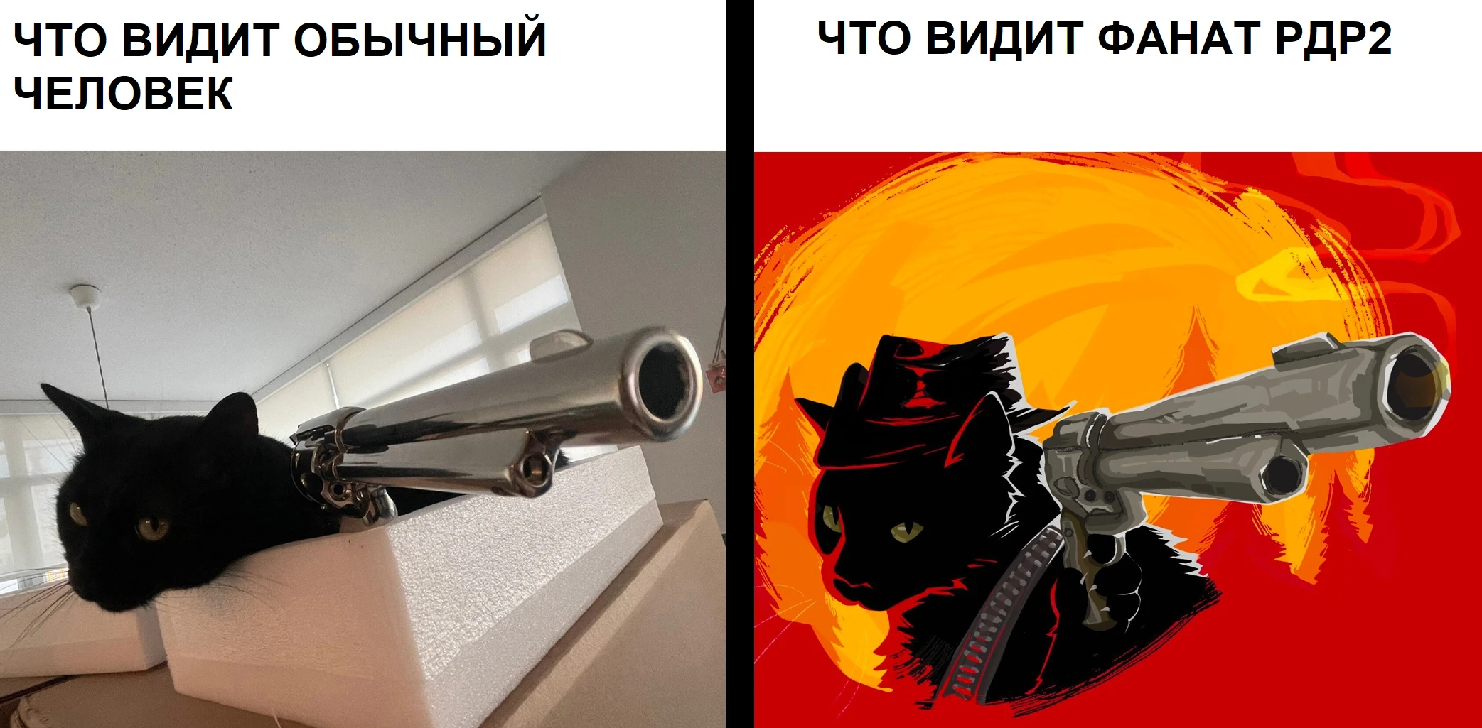 Когда твой кот ковбой