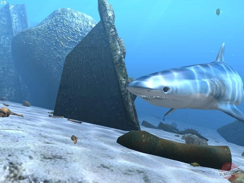 Твое лицо в игре