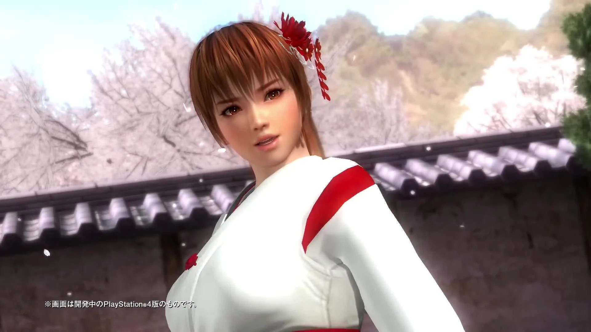 Dead Or Alive 5: Last Round получила новый комплект костюмов