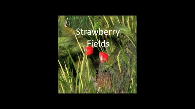 Life is Feudal: Forest Village "Клубника/Strawberrys(rus)"