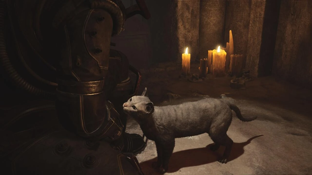 Все кошки и где их найти в Cronos: The New Dawn