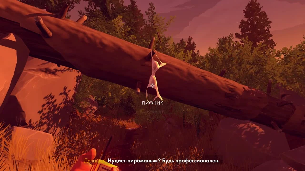 Firewatch - душевный квест