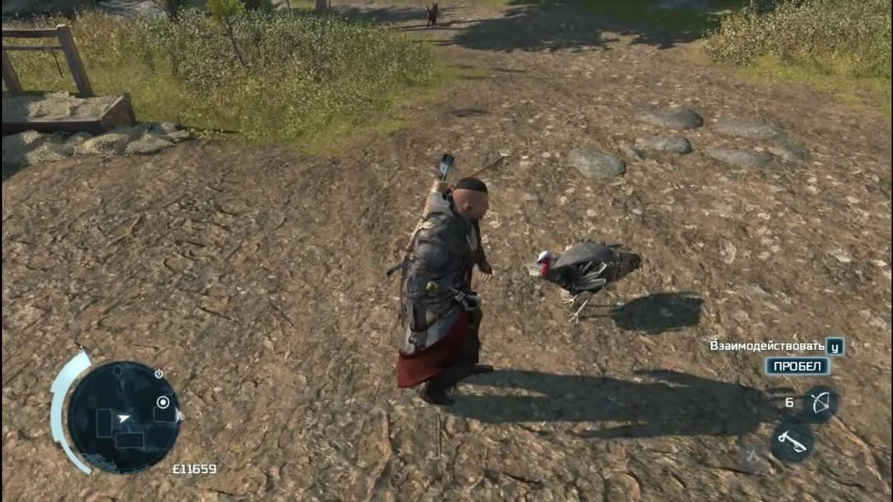 Assassin's Creed 3 - Пасхалка [Индюк Ассасин]