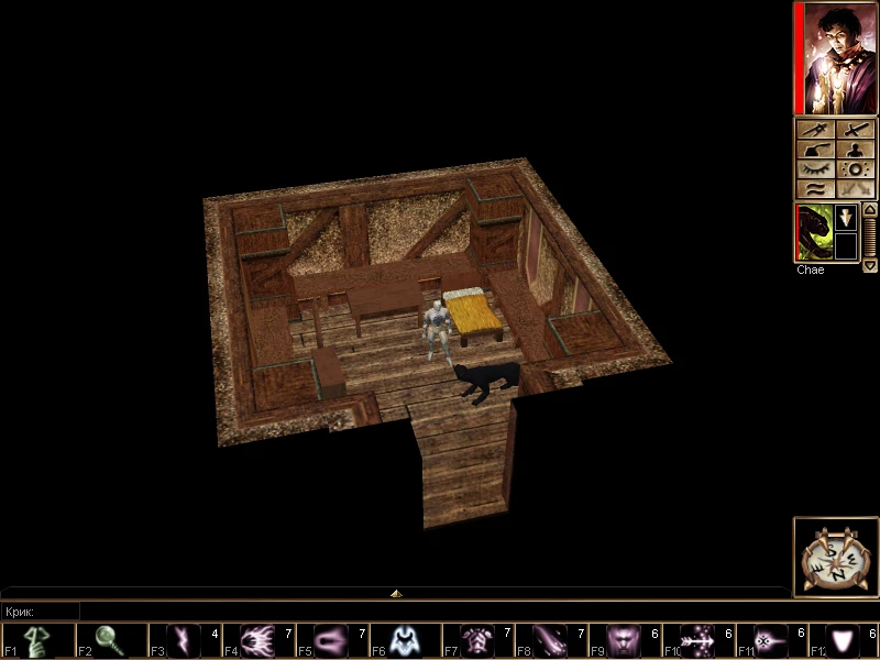 Neverwinter Nights "A Madman's Revenge"