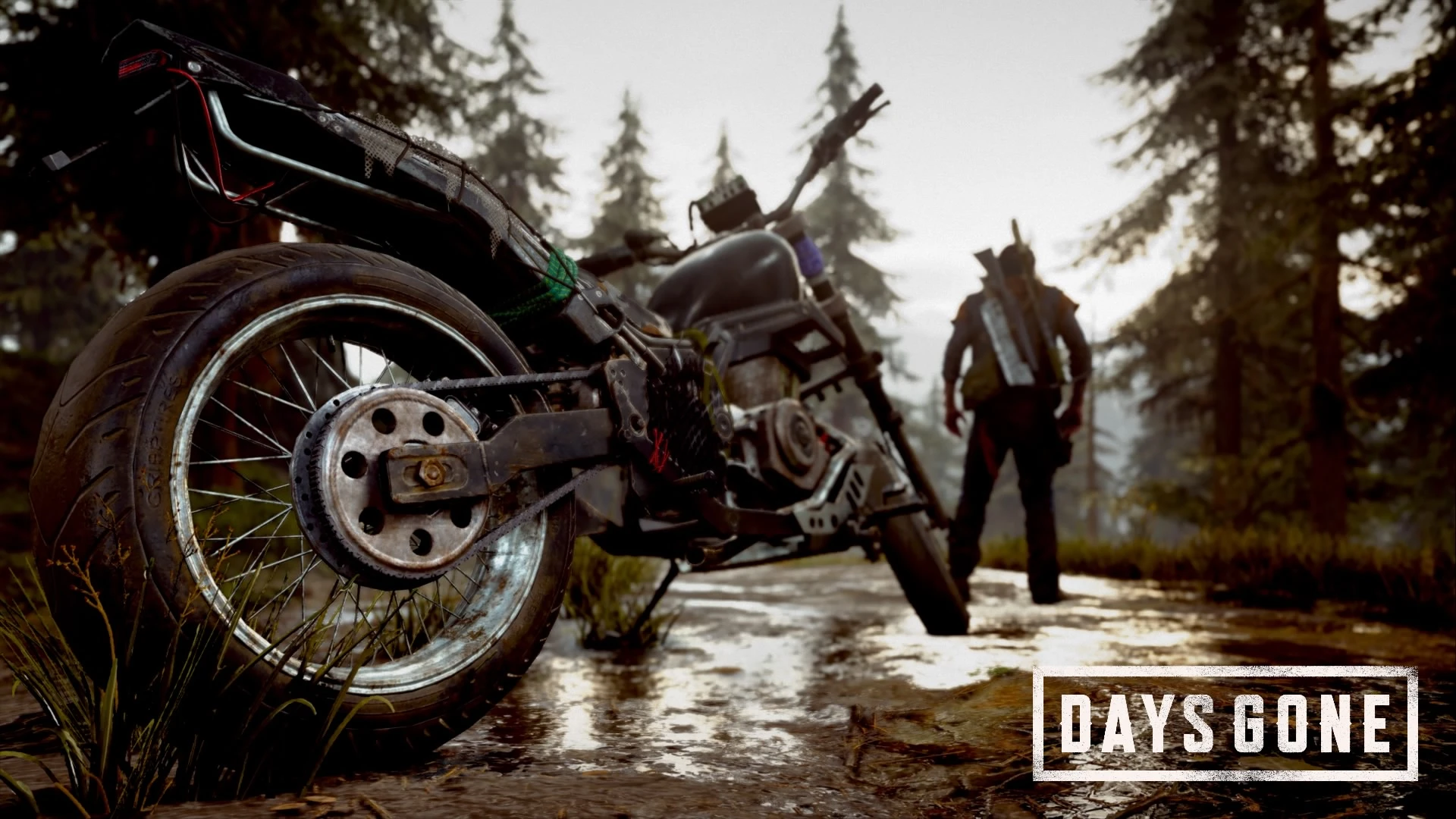 Драйвер AMD 21.5.2 добавляет поддержку Microsoft Agility SDK и Days Gone