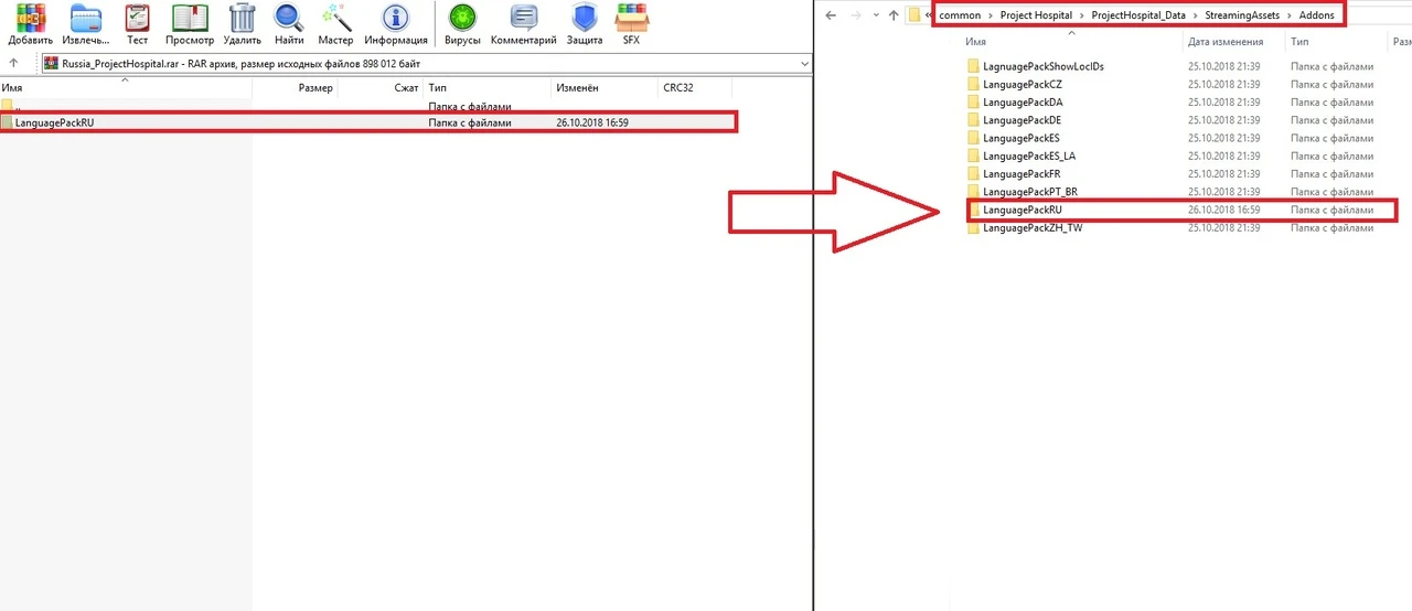 Русификатор для Project Hospital v1.5