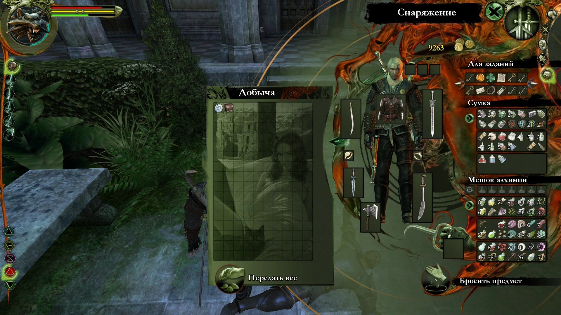 The Witcher "Эротический фон для инвентаря (Цензура)"