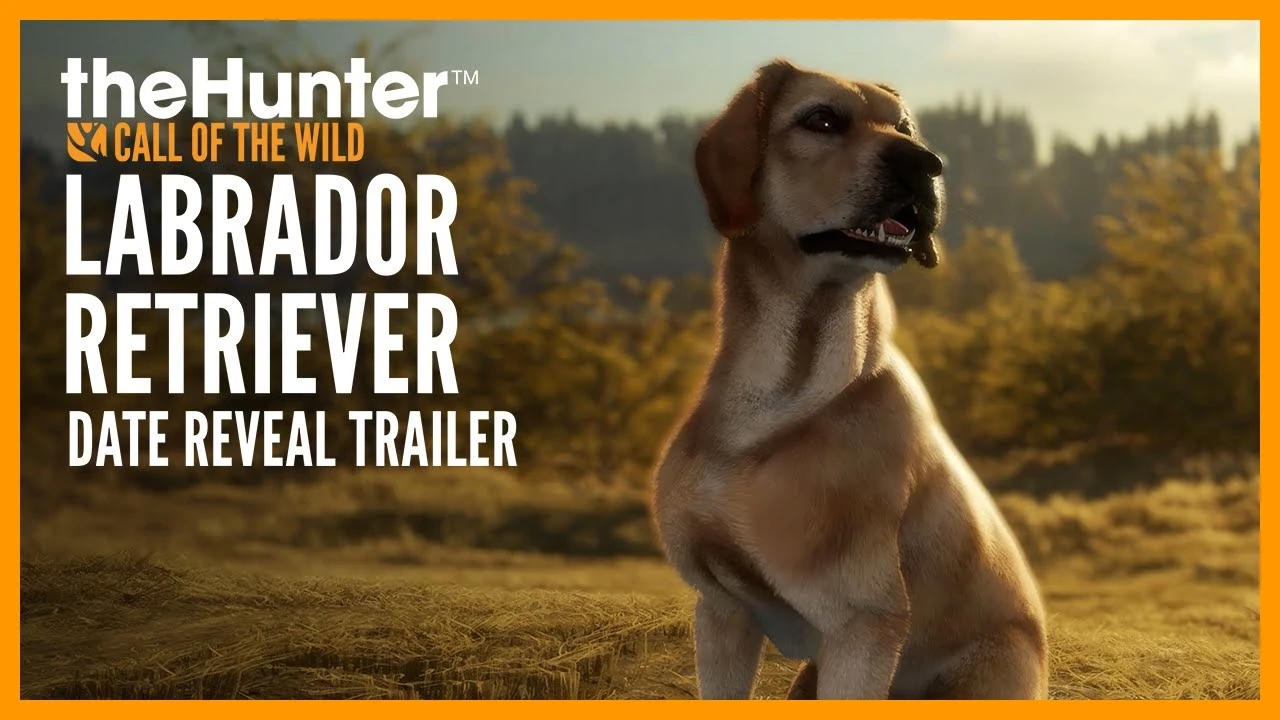 В симуляторе охоты theHunter: Call of the Wild появится лабрадор-ретривер в конце ноября