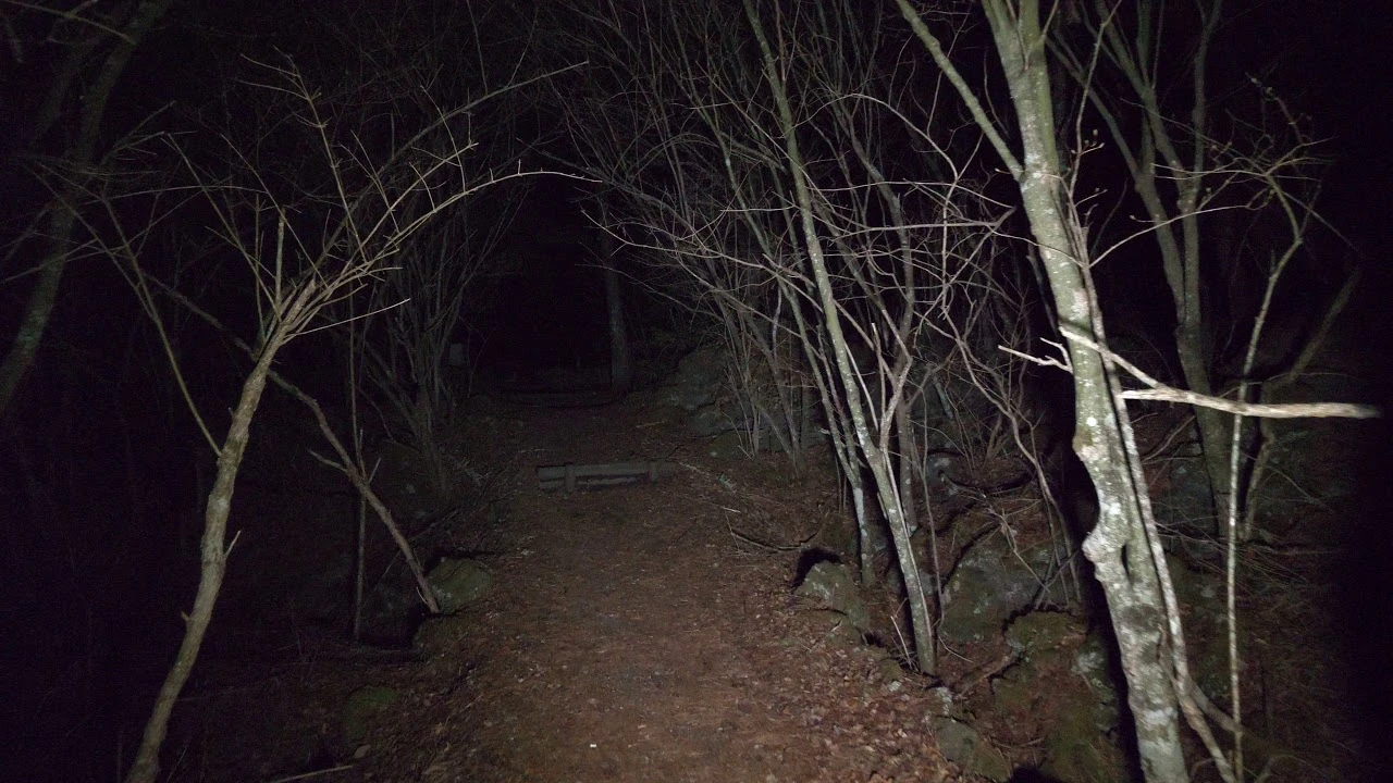 CAPCOM запускает новое ARG, связанное с Resident Evil Village