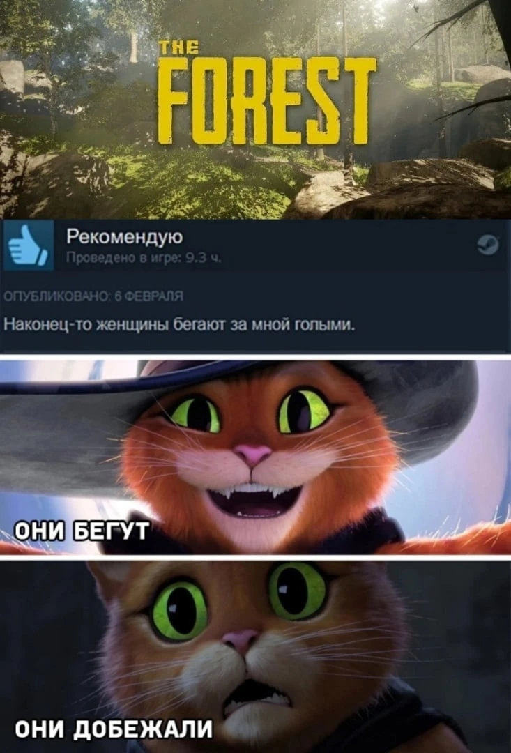 Мечты сбываются