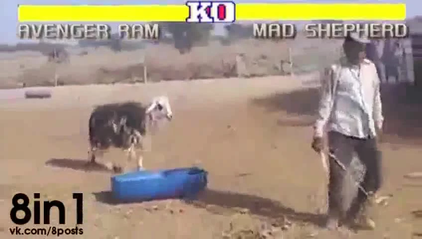 Симулятор козла файтинг [Прикол]