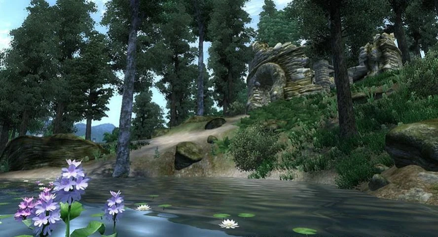 Elder Scrolls 4: Oblivion "Оптимизация для слабых ПК"