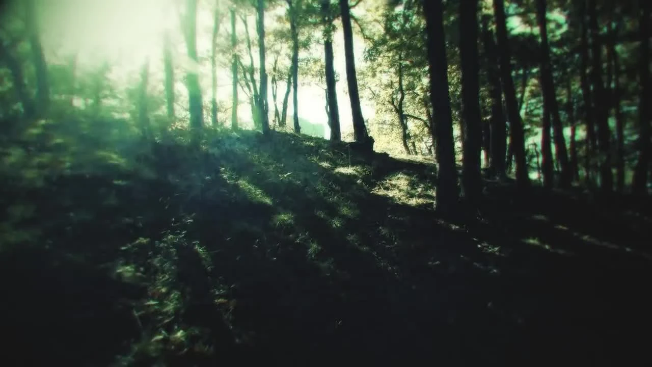 Project Re Fantasy "Тизер-трейлер"