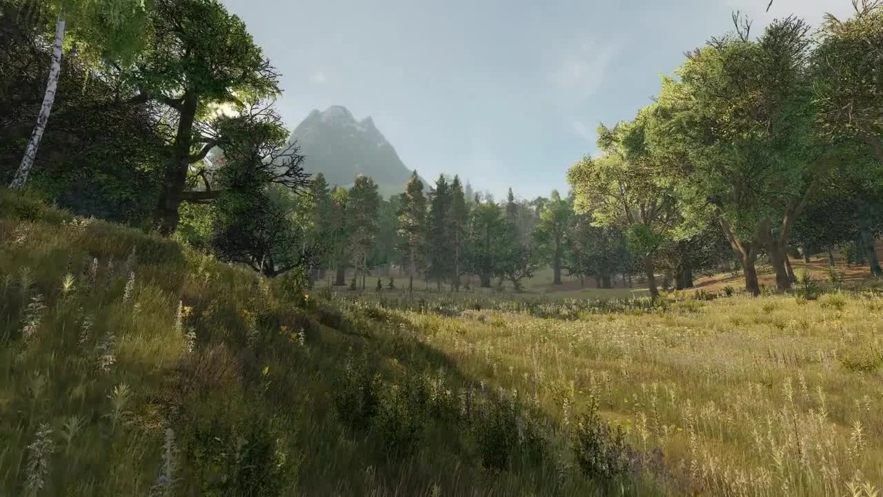 Life is Feudal "Погодные Эффекты"