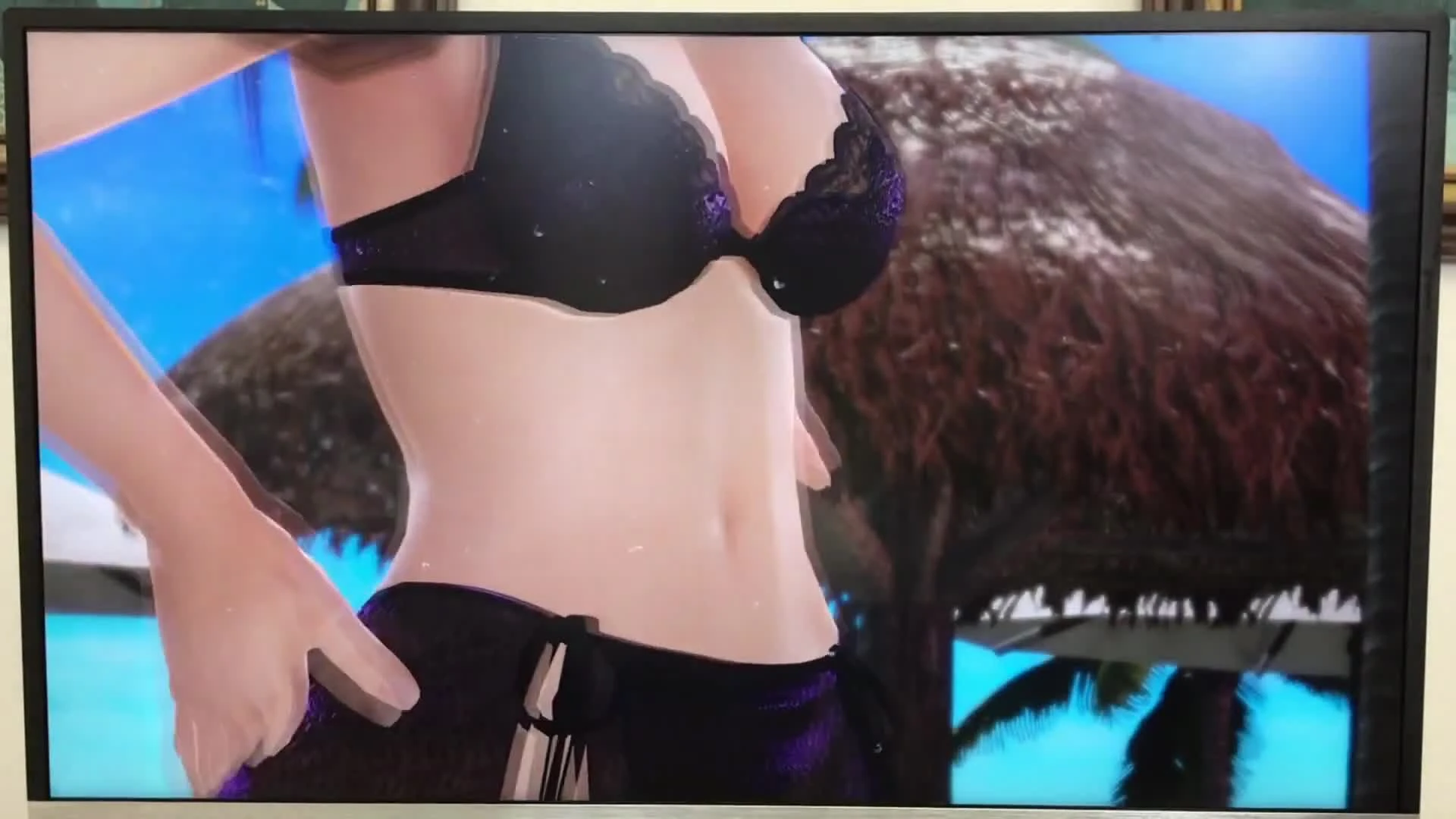 Встречайте Лейфан в Dead or Alive Xtreme 3: Scarlet