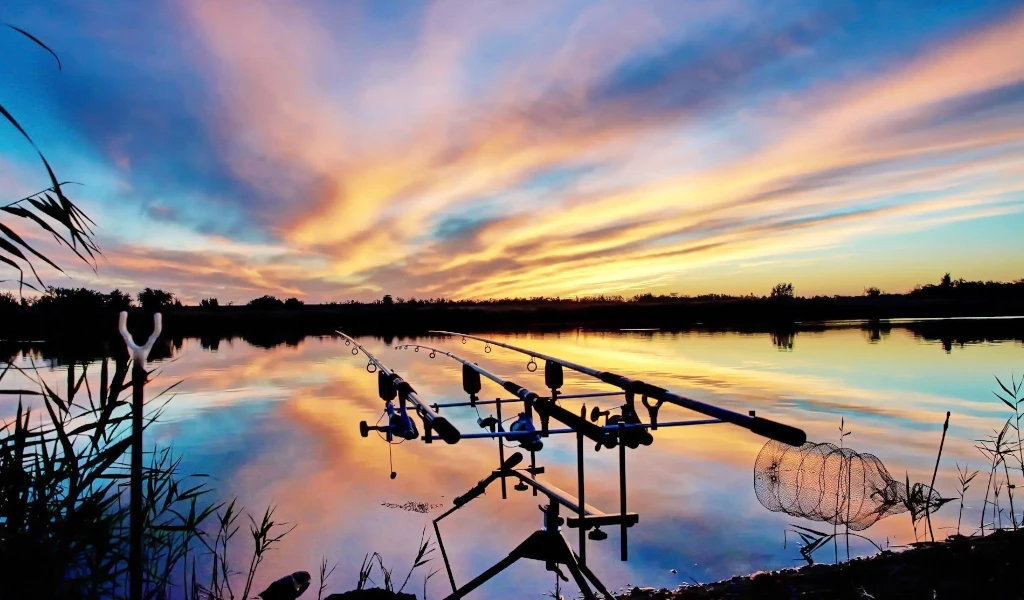 Гайд по игре Fisher Online: Общие механики