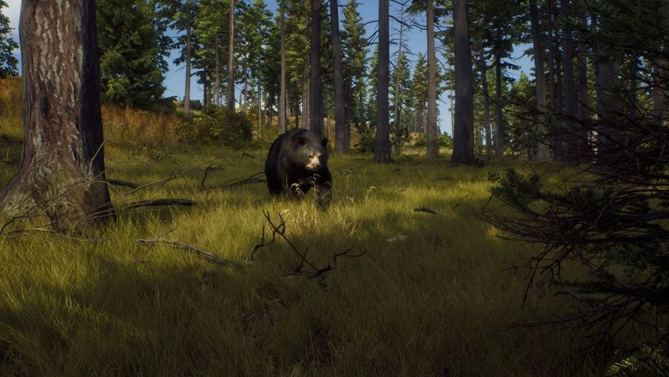 Nine Rocks Games выпустила обновление для симулятора охоты Way of the Hunter