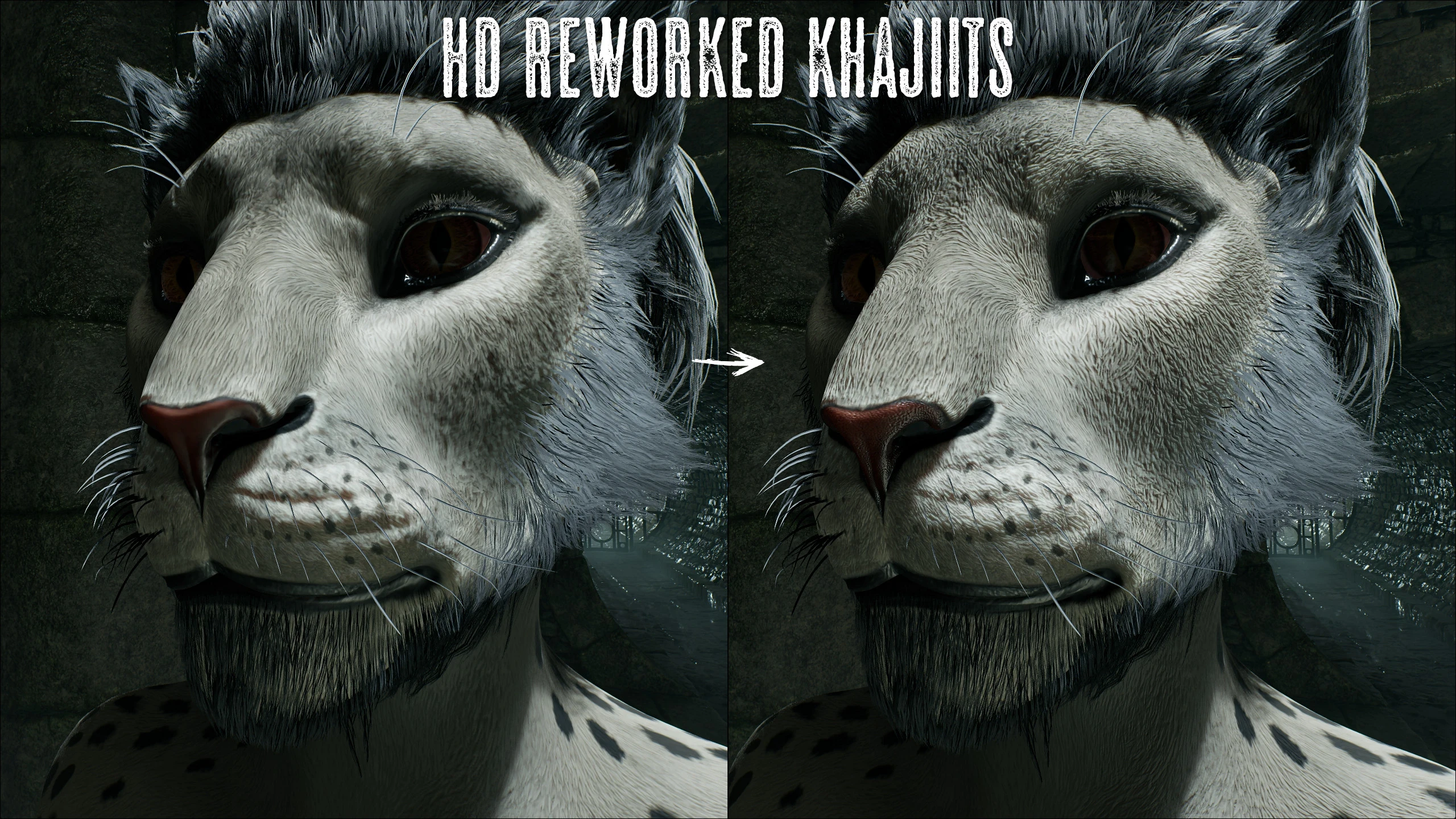 The Elder Scrolls 4: Oblivion Remastered "HD переработанные Каджиты"