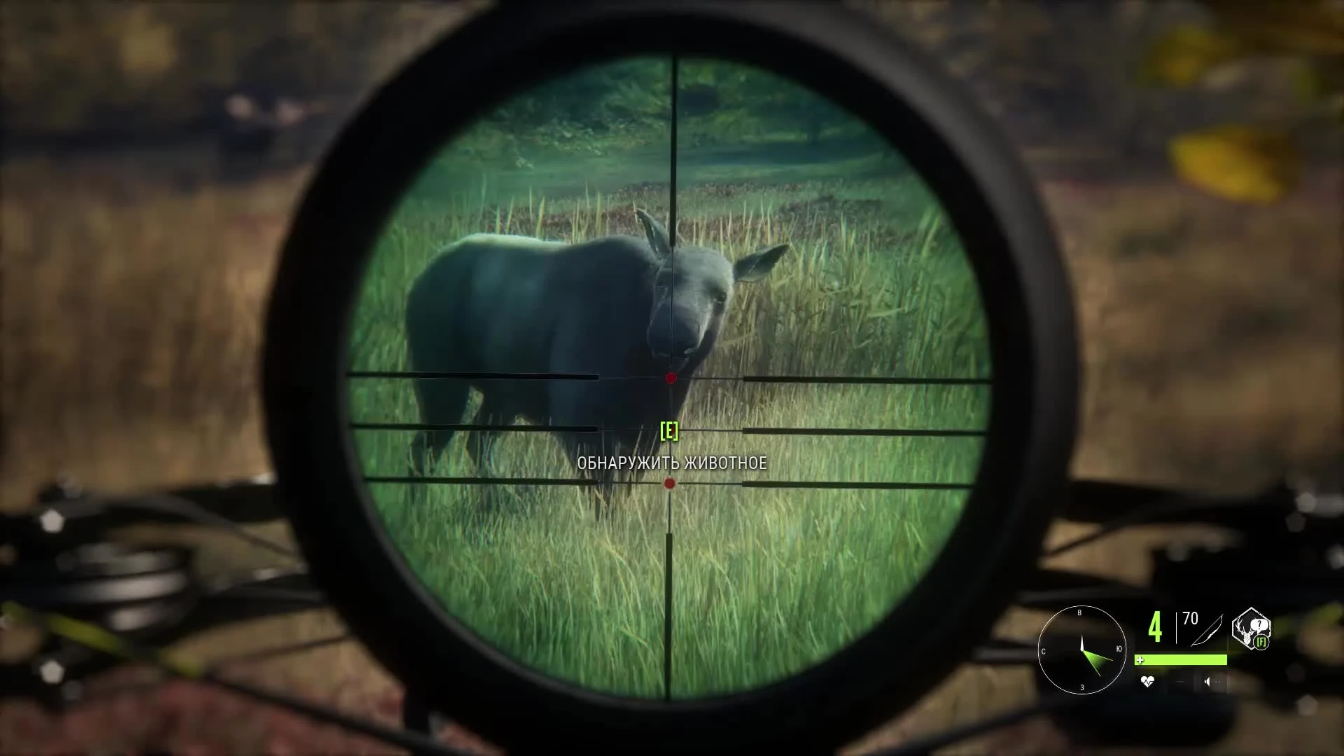 The Hunter: Call of the Wild - Охота. Взял лосиху и здорового лося с арбалета