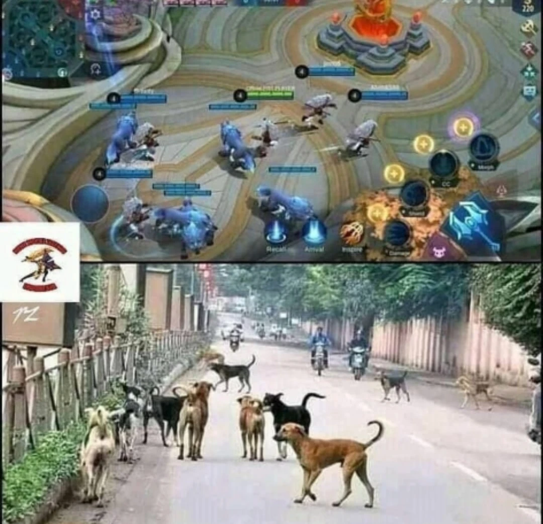 Зеркальный Хаус