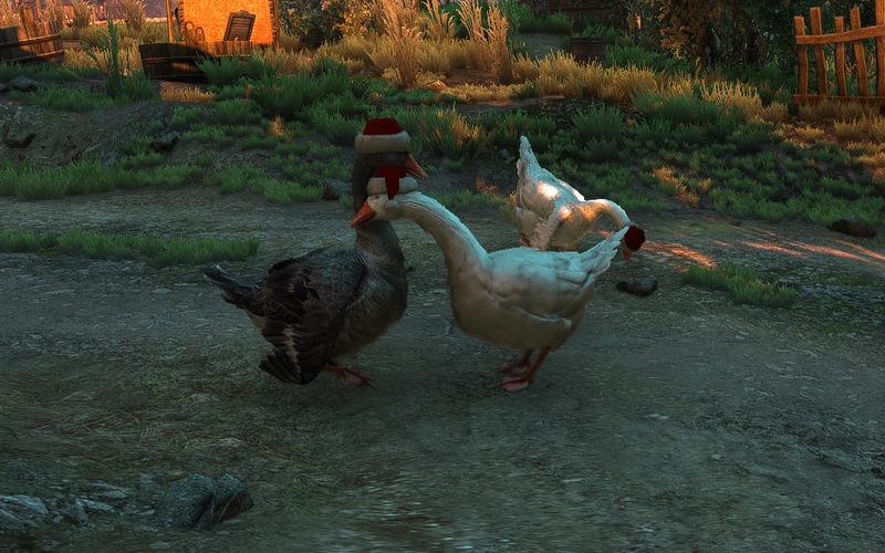 Гусям в The Witcher 3 подарили новогодние шапки - состоялся релиз праздничного мода