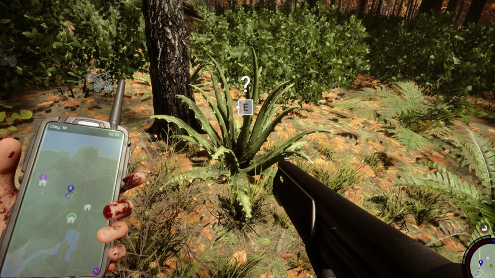 Гайд по выживанию Sons of the Forest: где найти Алоэ и зачем оно нужно