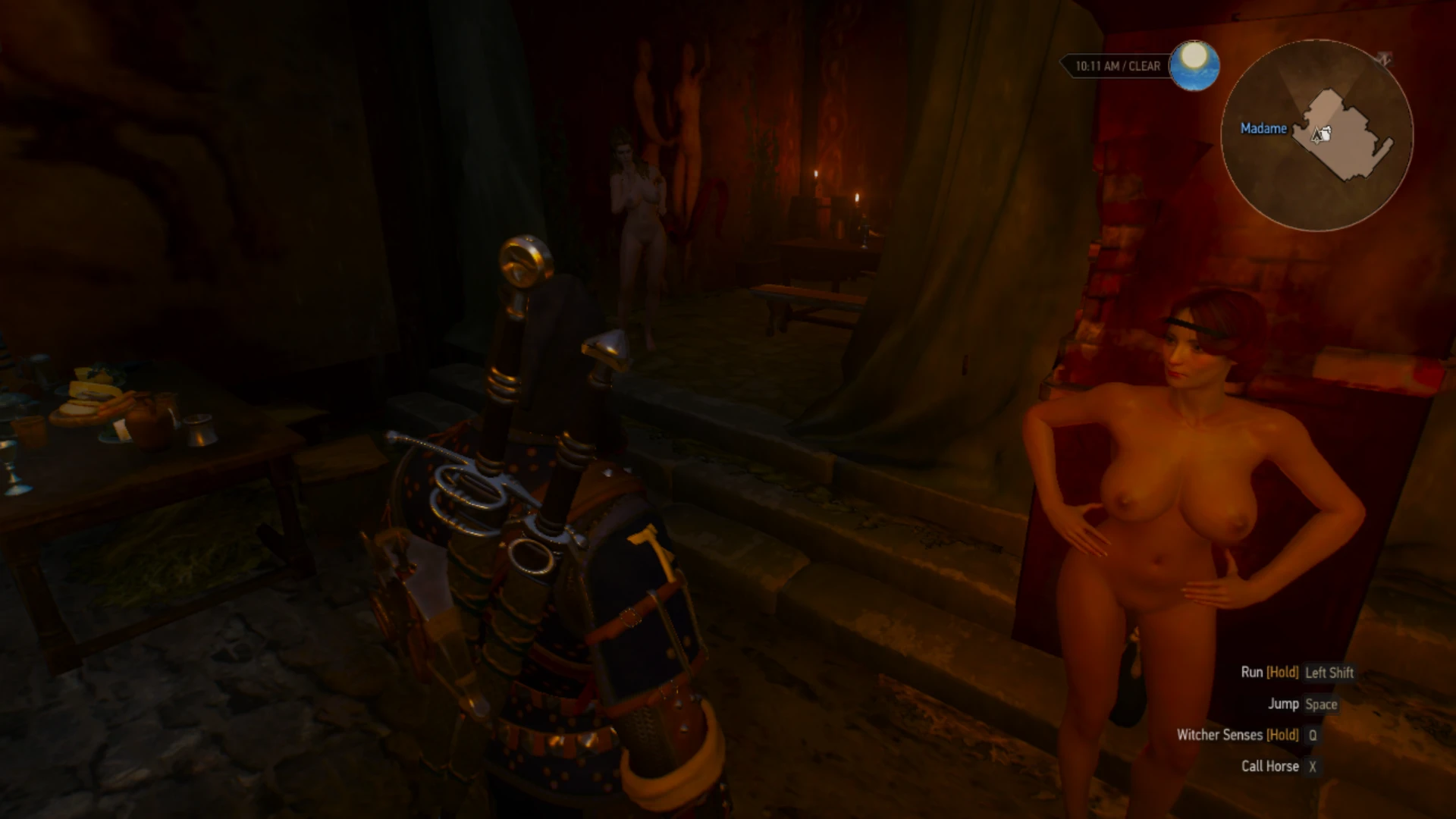 The Witcher 3 "Обнаженные девушки в борделях"