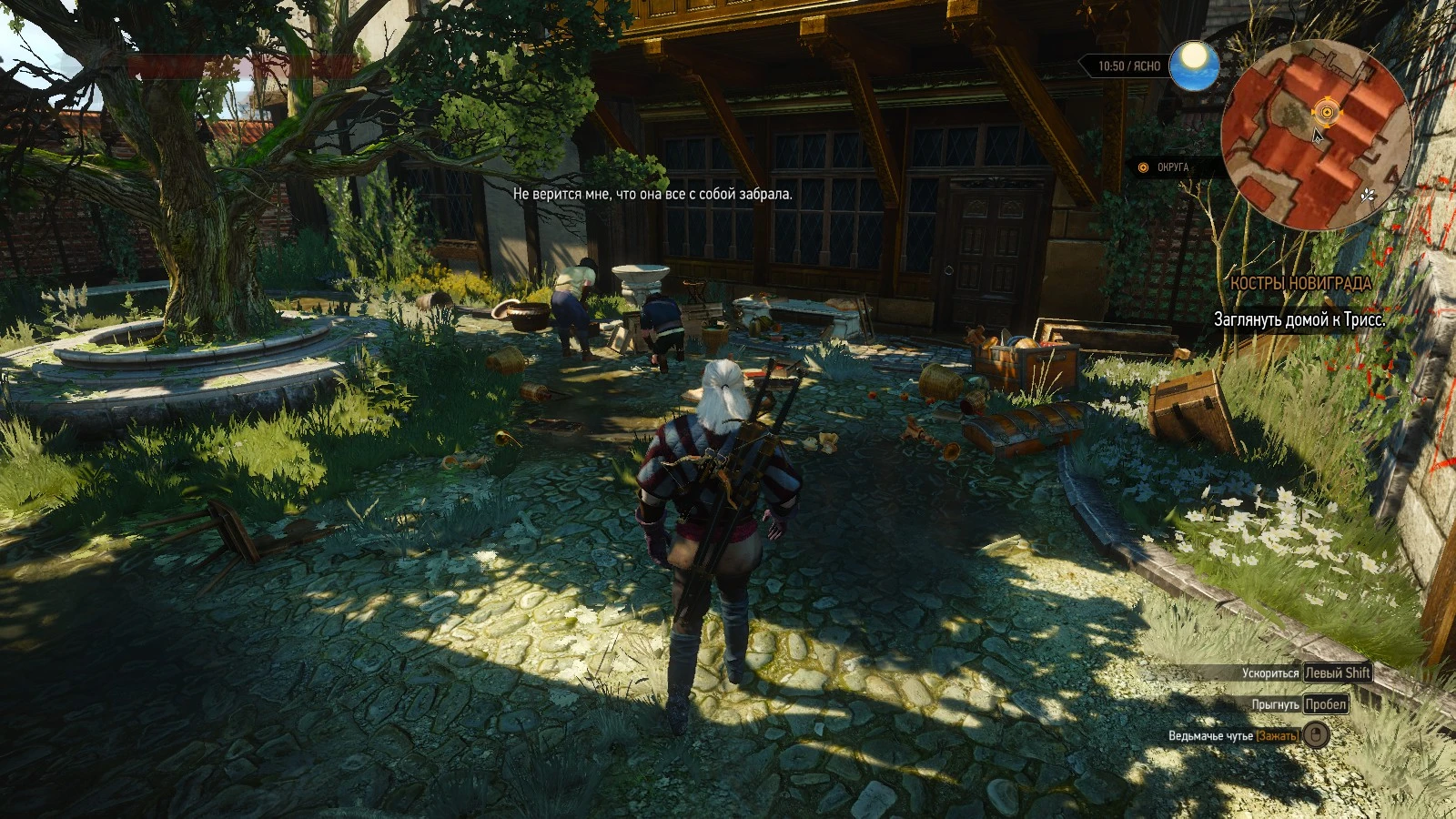 Прохождение The Witcher 3: Wild Hunt - Основные задания - Новиград