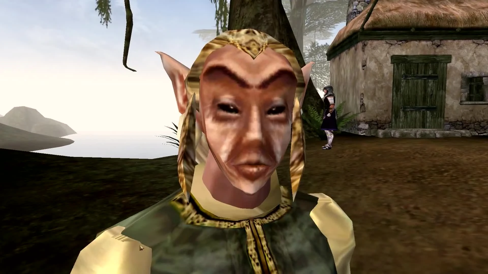 ТОП 5 упоротых босмеров The Elder Scrolls