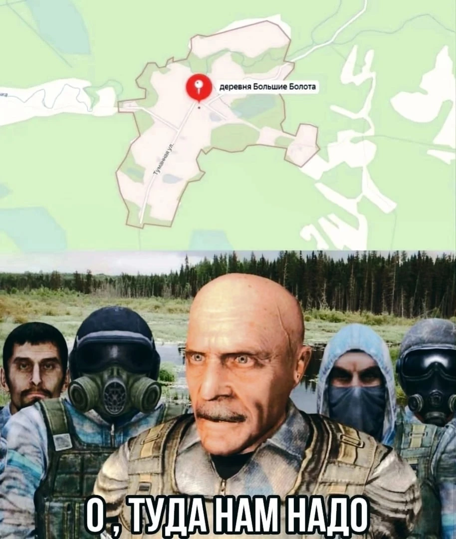 Именно так они и нашли своё нынешнее место обитания