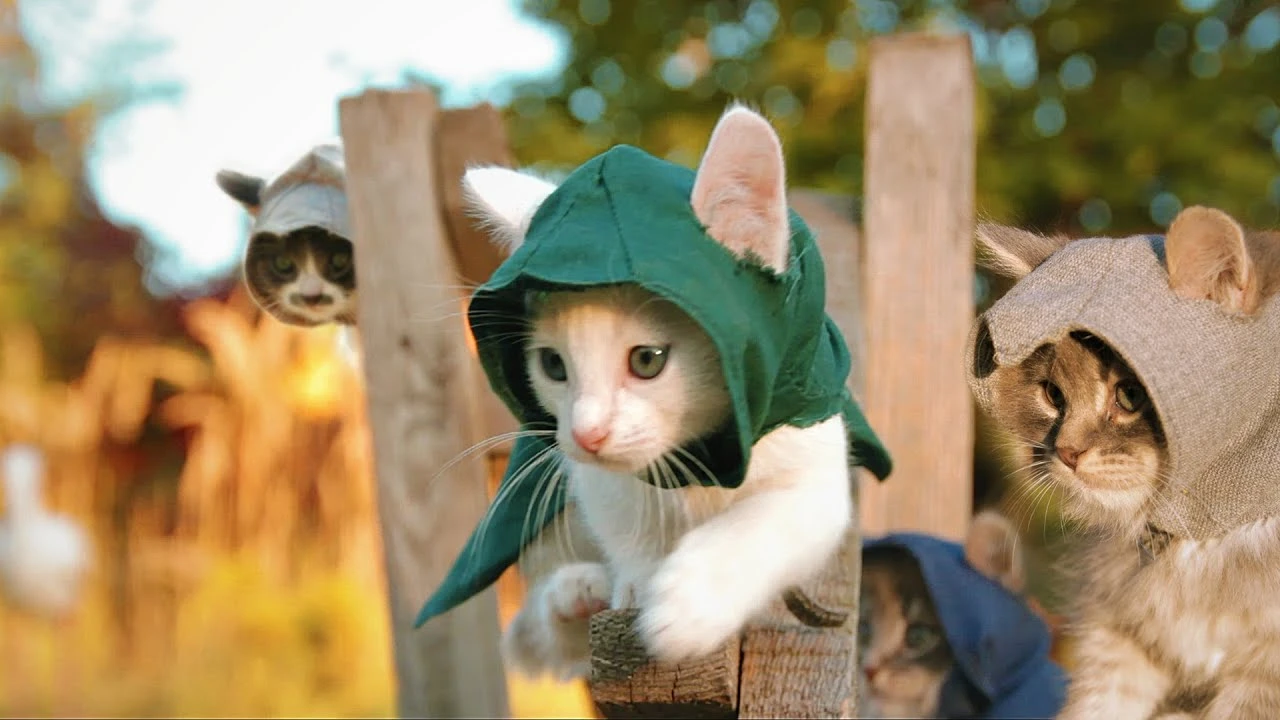 Музыка из Assassin's Kittens: Unity